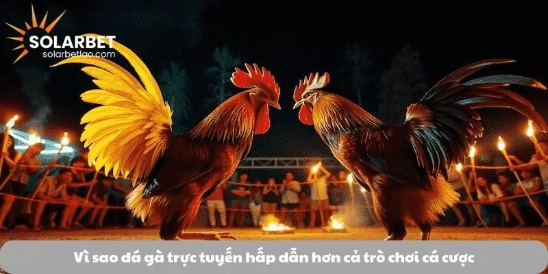 Vì sao đá gà trực tuyến hấp dẫn hơn cả trò chơi cá cược